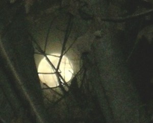 Photo by J. Ruth Kelly