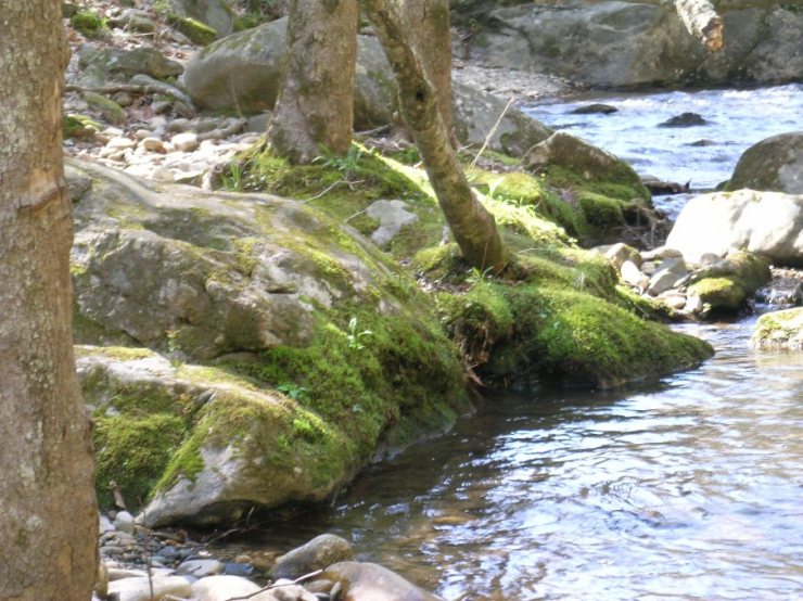Tallulah River, April 2009