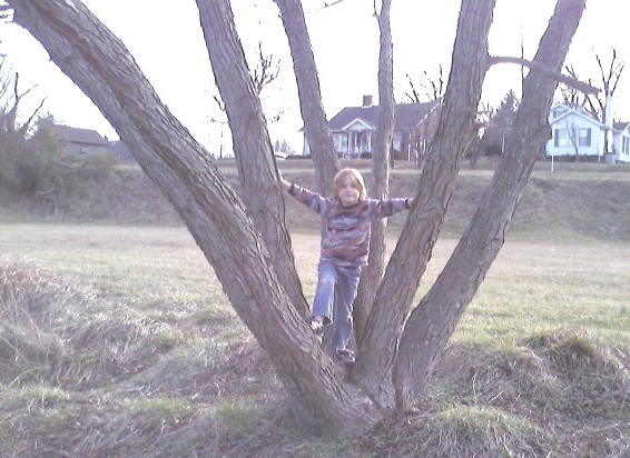 Trees Growing Strong