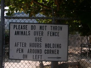 No Drive-By Tossers Allowed