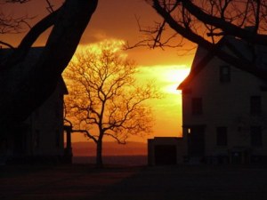 photo courtesy of dave grant