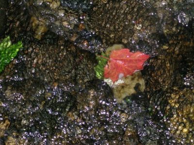 j. ruth kelly, 2012 all rights reserved