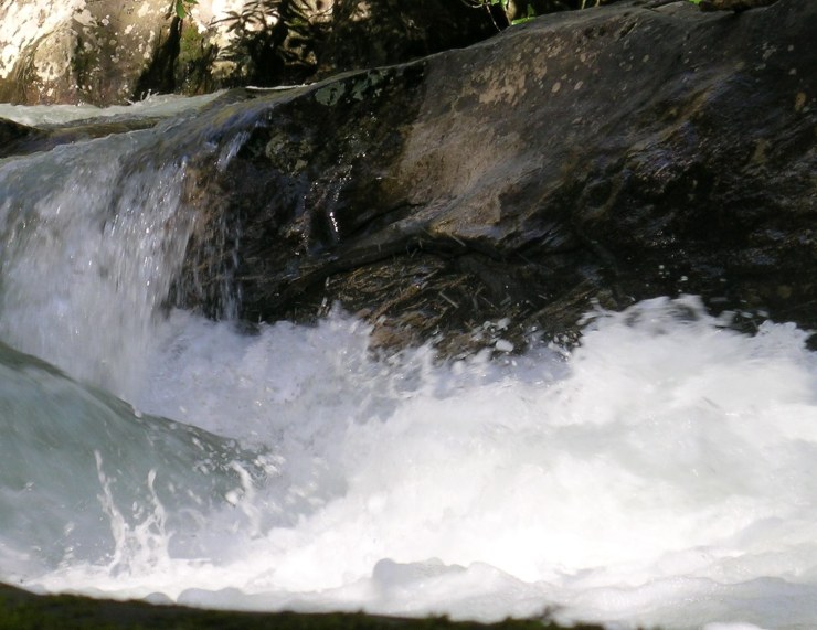 j. ruth kelly, all rights reserved