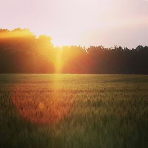 j. ruth kelly, all rights reserved