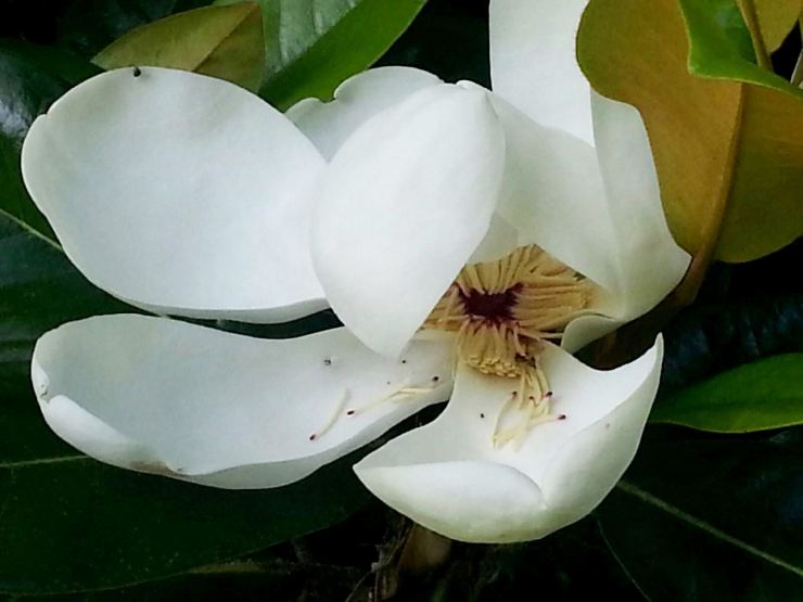 j. ruth kelly, all rights reserved, 2013