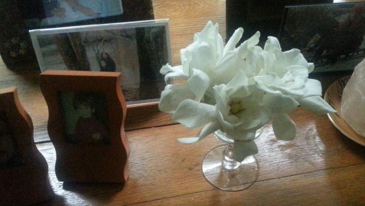 gardenia wine, j. ruth kelly, 2013