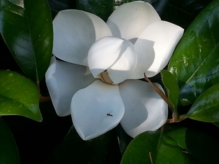 j ruth kelly, 2013, all rights reserved