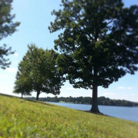 j. ruth kelly, 2013, all rights reserved