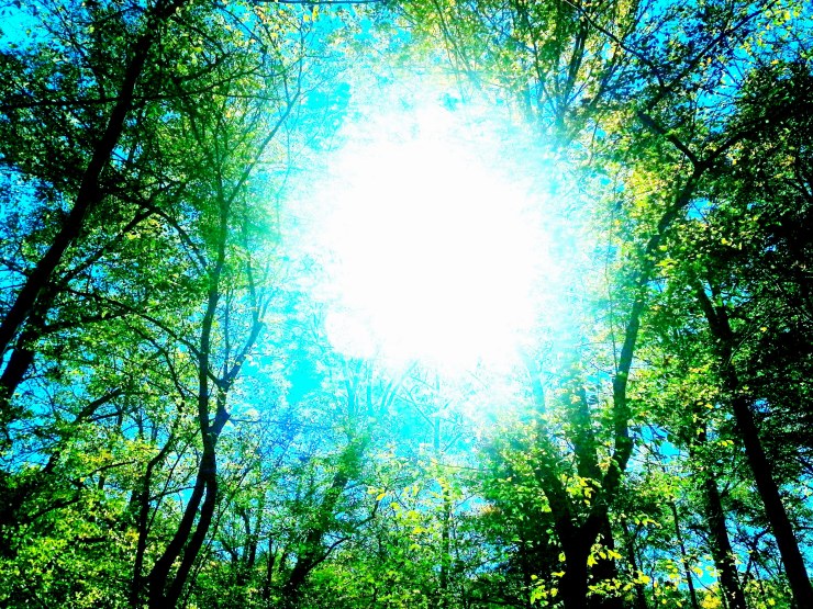 j. ruth kelly, all rights reserved, 2014