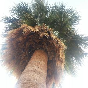 j. ruth kelly, 2014, all rights reserved