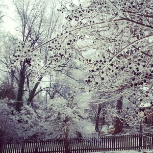 j. ruth kelly, 2014, all rights reserved