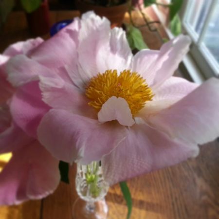 j. ruth kelly, 2014, all rights reserved