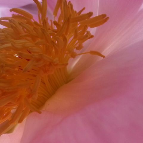 j. ruth kelly, 2014, all rights reserved