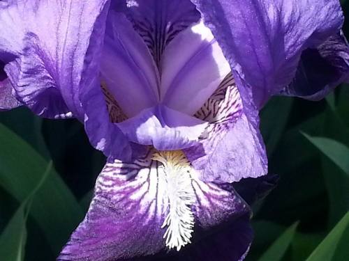 j. ruth kelly, all rights reserved, 2014