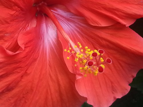 j. ruth kelly, 2014, all rights reserved