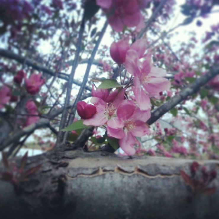 j. ruth kelly, 2015, all rights reserved