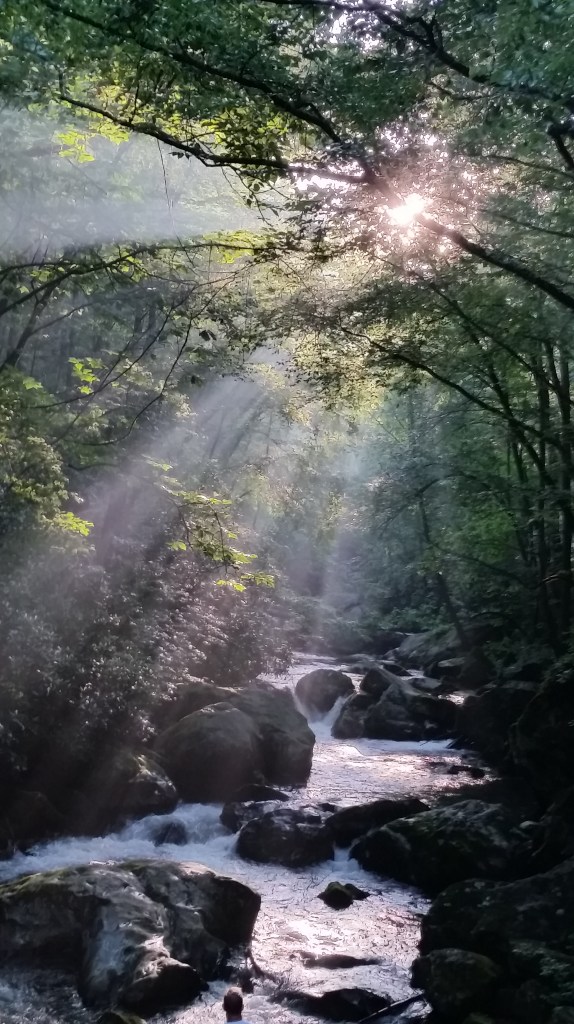 photo by j. ruth kelly, 2015, all rights reserved