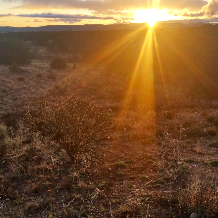 IMG_20190413_232642_791